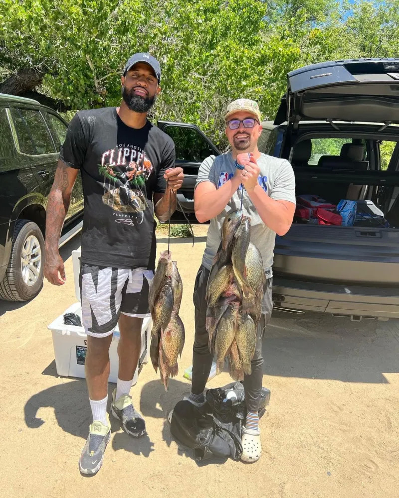 的重要组成 的重要组成